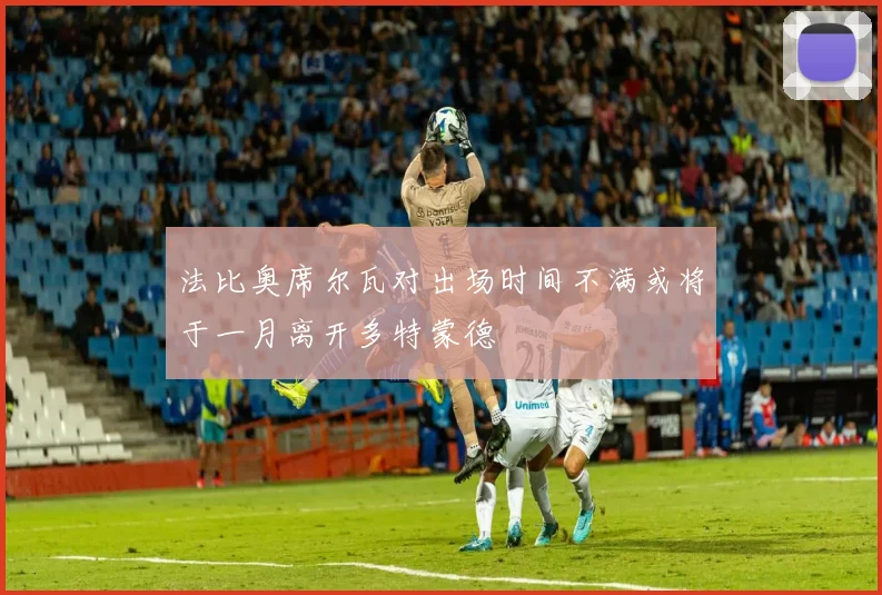法比奥席尔瓦对出场时间不满或将于一月离开多特蒙德