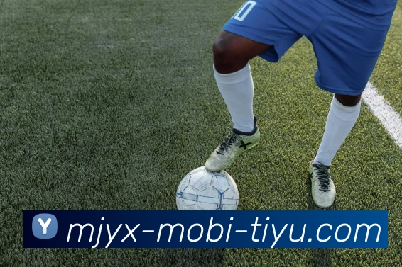 麻将胡了平台生态图